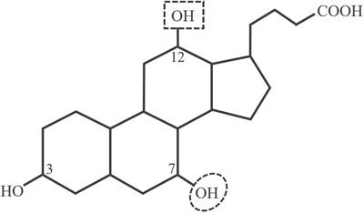 Differential View on the Bile Acid Stress Response of Clostridioides difficile